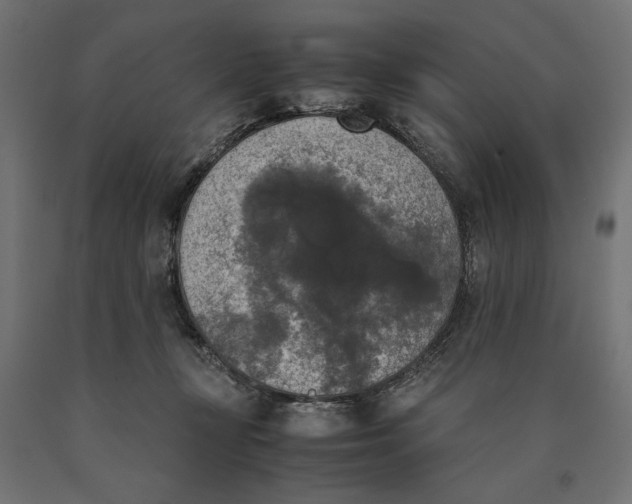 X0000090410367200708031048