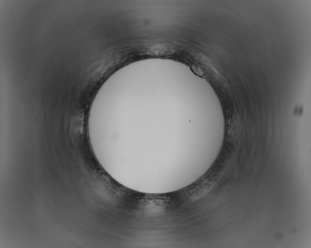 X0000090410368200708031048