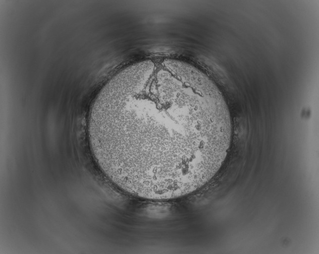X0000090410369200708031048