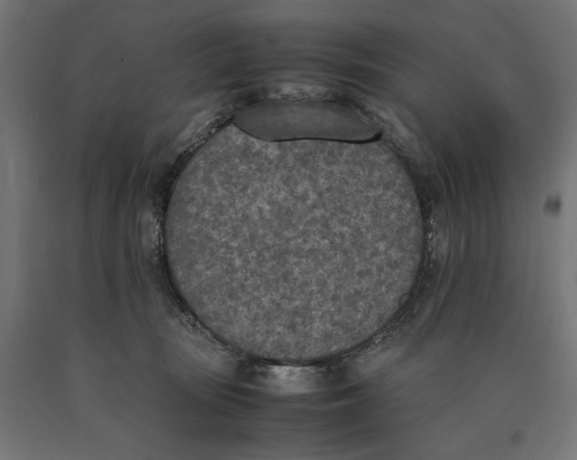 X0000090410371200708031048