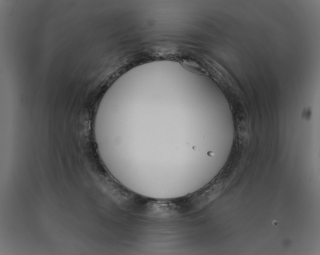 X0000090410372200708031048