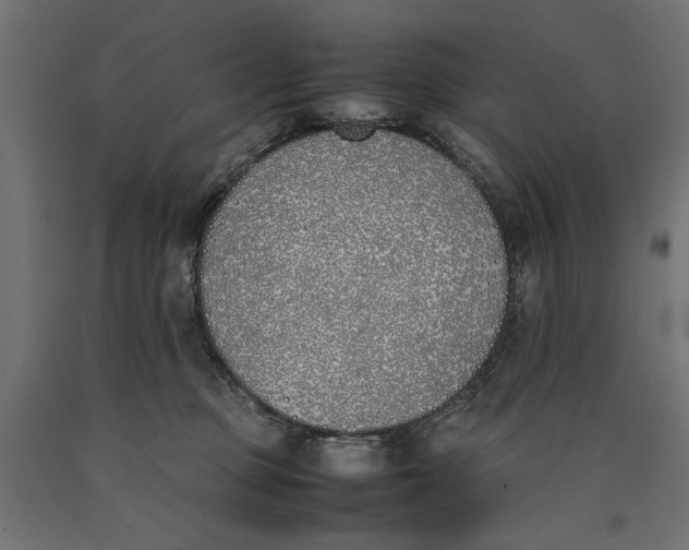 X0000090410373200708031048