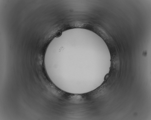 X0000090410374200708031048