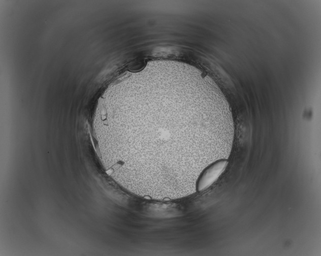 X0000090410375200708031048