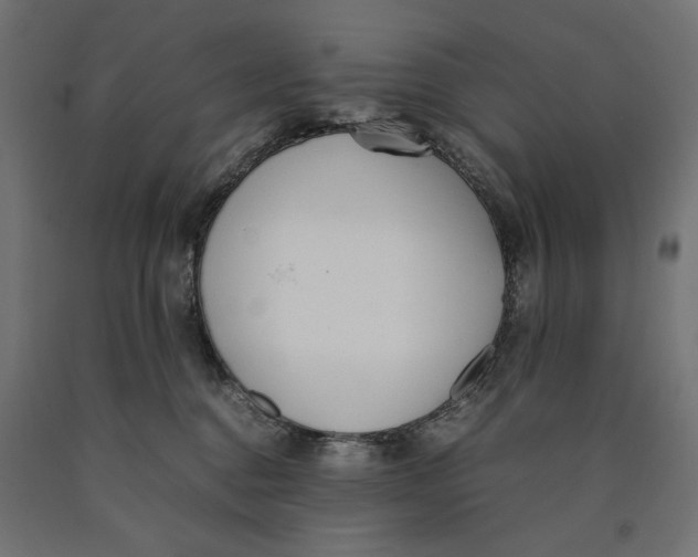 X0000090410376200708031048