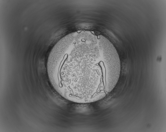 X0000090410377200708031048