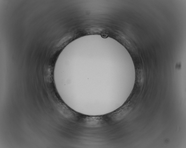 X0000090410378200708031048