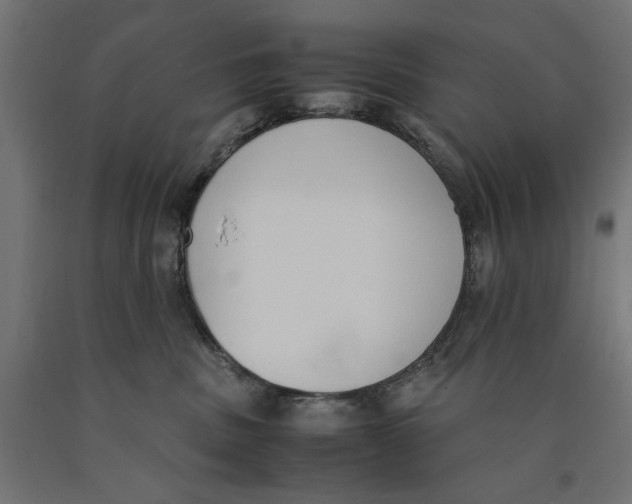 X0000090410379200708031048