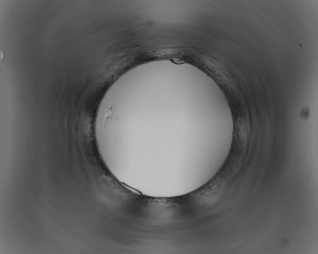 X0000090410380200708031048