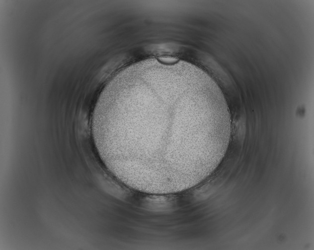 X0000090410381200708031048