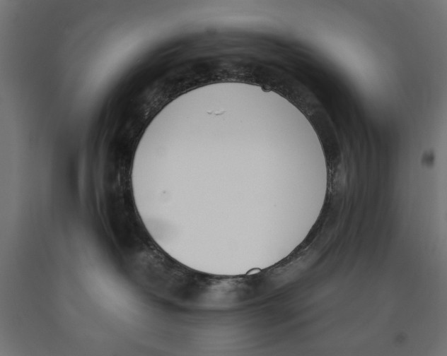 X0000090410382200708031048
