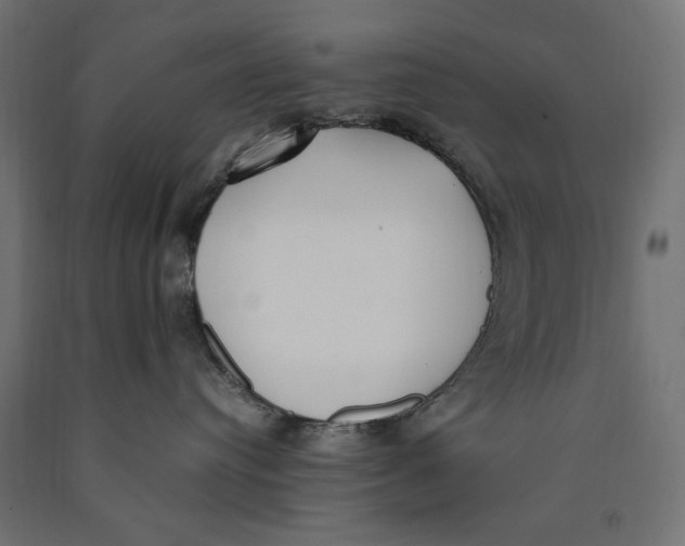 X0000090410384200708031048