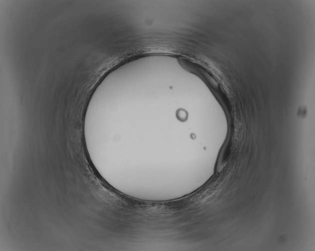 X0000090410385200708031047