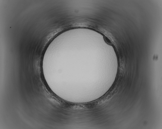 X0000090410386200708031047
