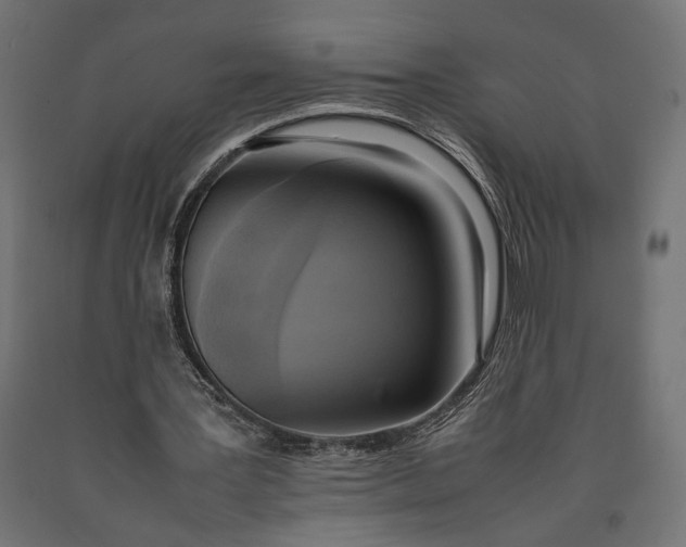 X0000090410387200708031047