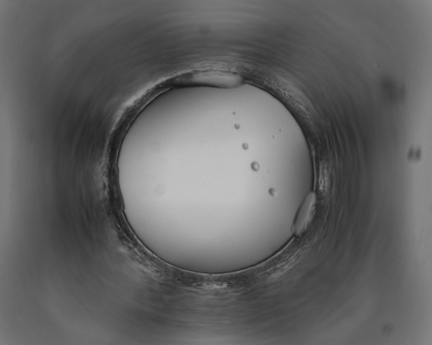 X0000090410388200708031047