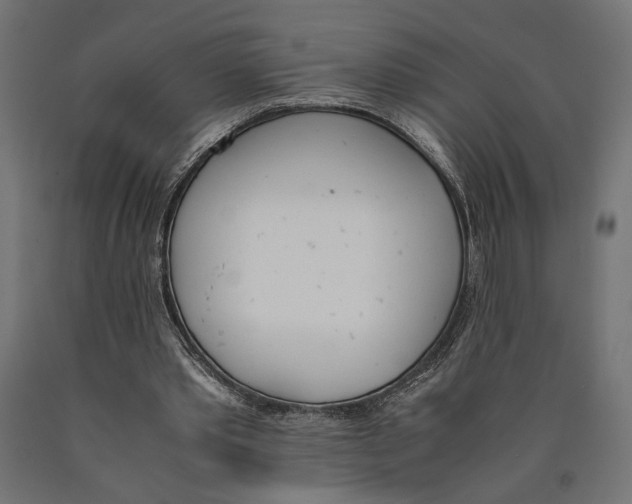 X0000090410389200708031047