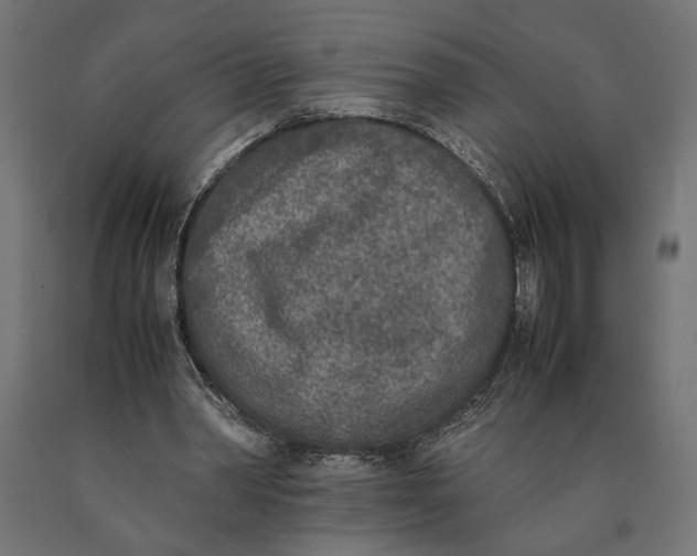 X0000090410390200708031047