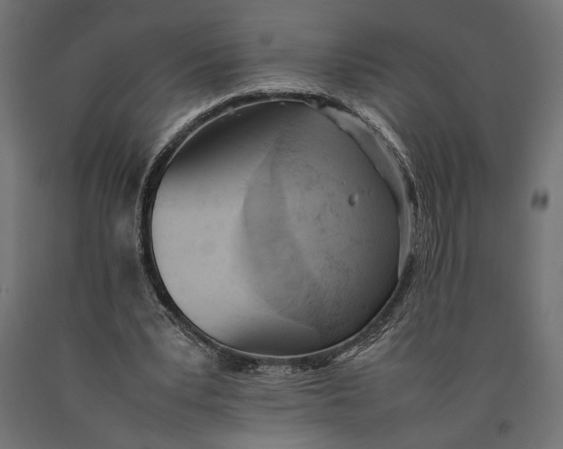 X0000090410391200708031047