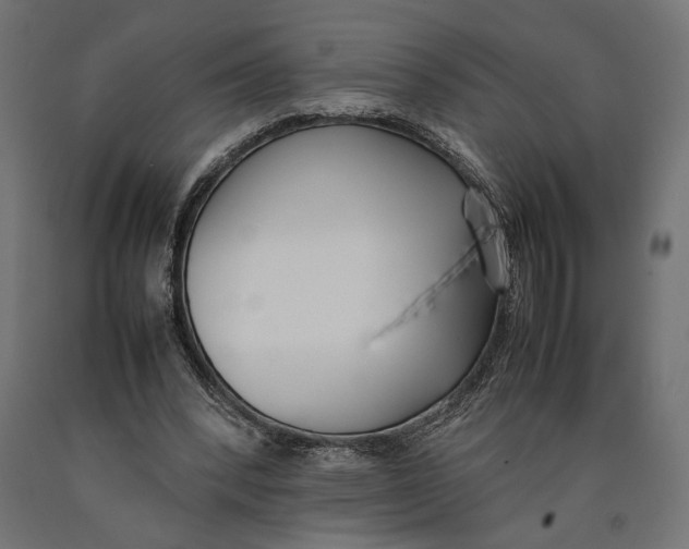X0000090410392200708031047