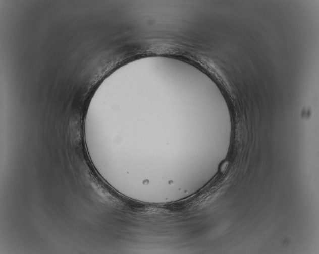 X0000090410393200708031047