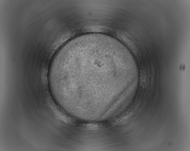 X0000090410394200708031047