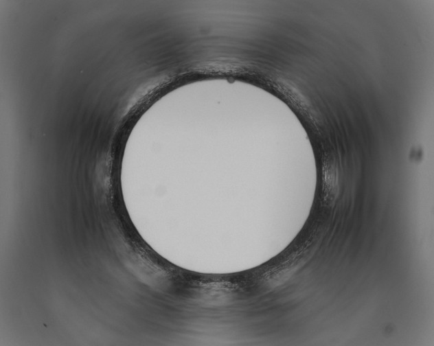 X0000090410396200708031047