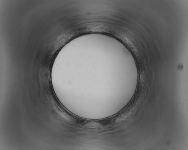 X0000090410397200708031047