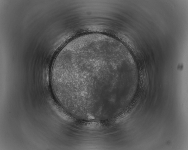 X0000090410398200708031047