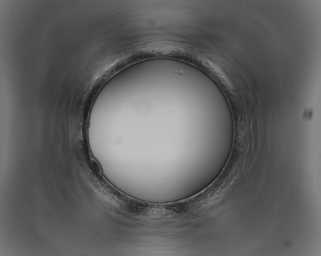 X0000090410399200708031047