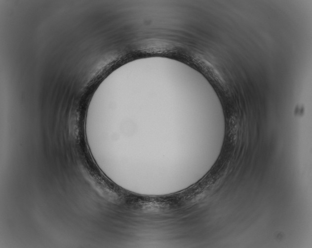 X0000090410400200708031047