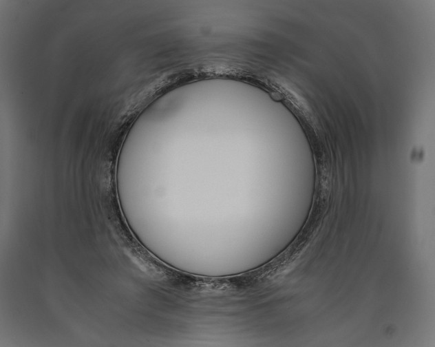 X0000090410401200708031047