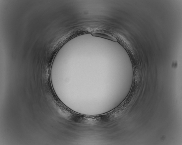 X0000090410405200708031047