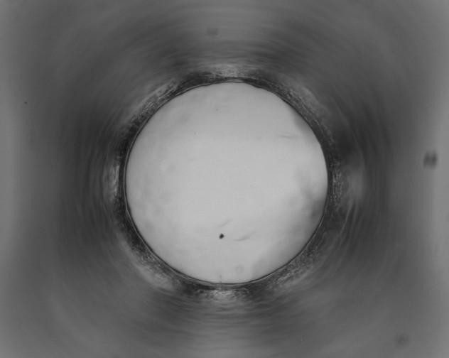 X0000090410406200708031047