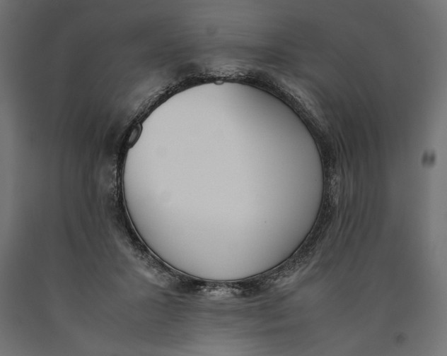 X0000090410407200708031047