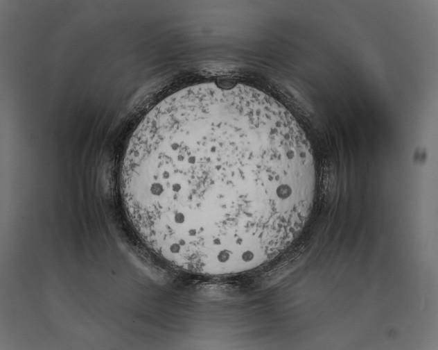 X0000090410408200708031047
