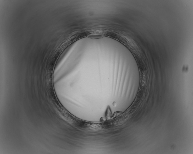 X0000090410409200708031047
