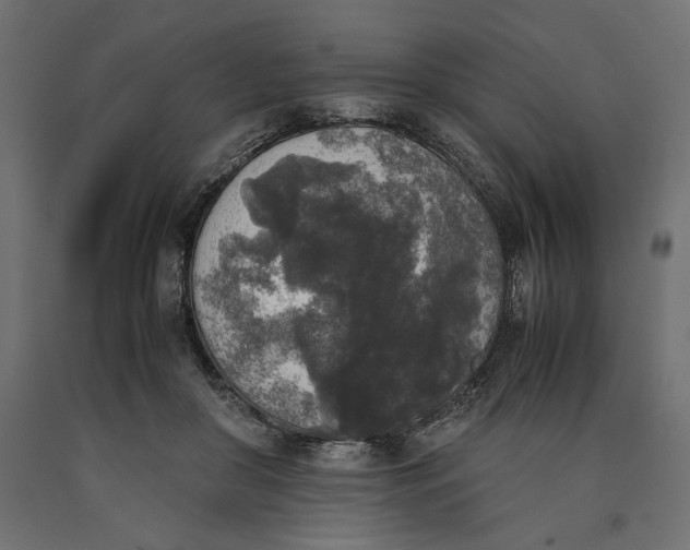 X0000090410410200708031047