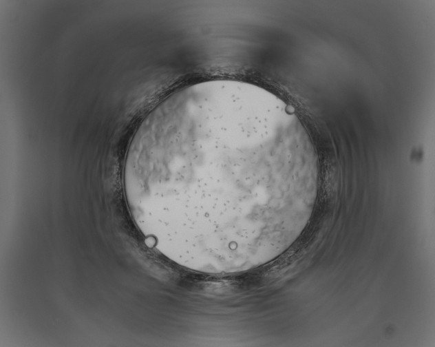 X0000090410411200708031047