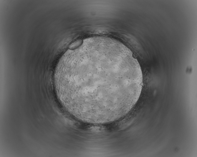 X0000090410415200708031047