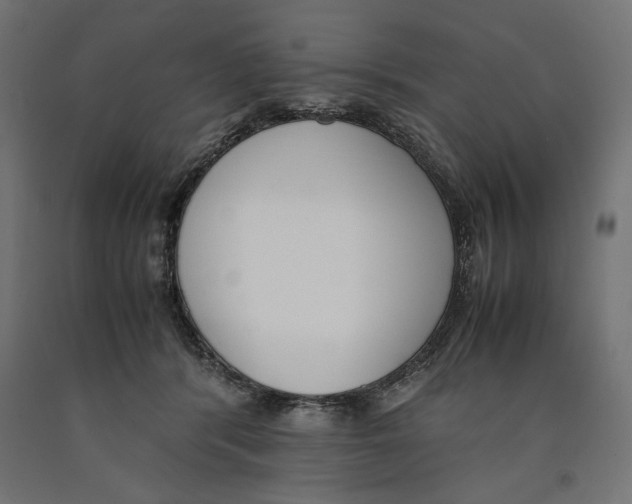 X0000090410416200708031047