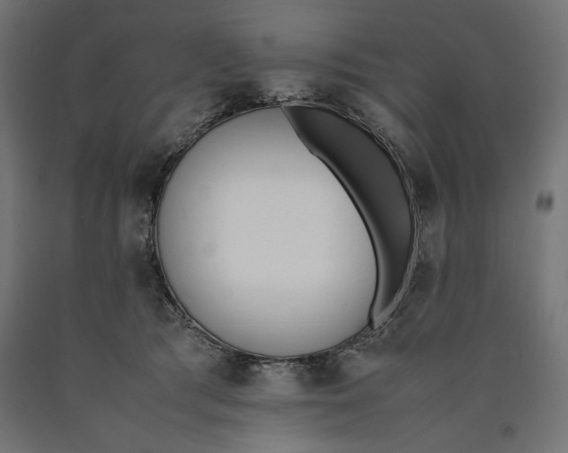 X0000090410417200708031047