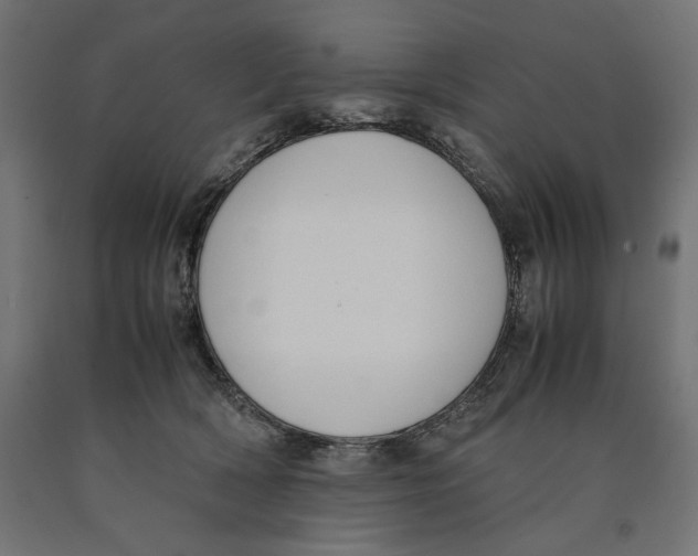 X0000090410418200708031047