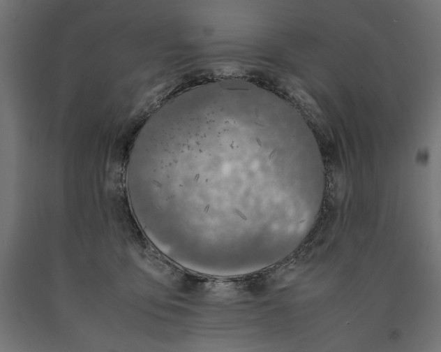 X0000090410419200708031047