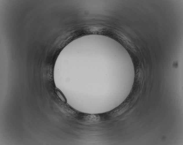 X0000090410421200708031047