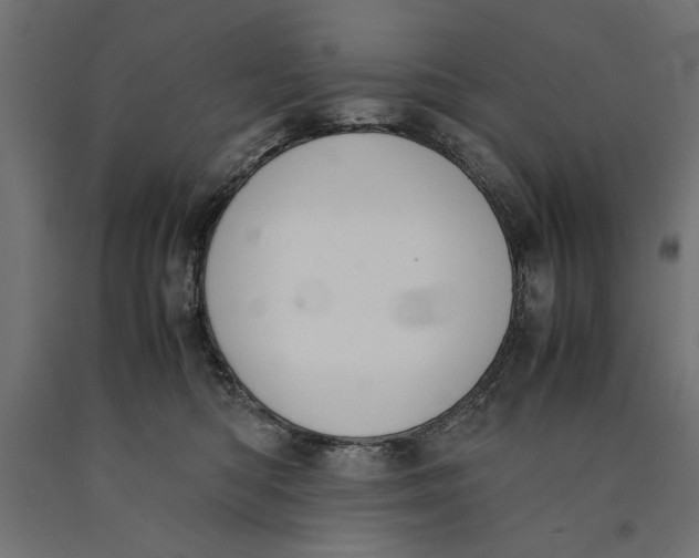 X0000090410422200708031047