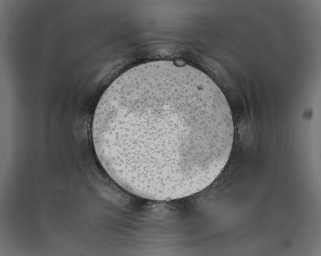X0000090410423200708031047