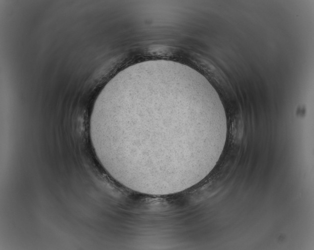 X0000090410424200708031047