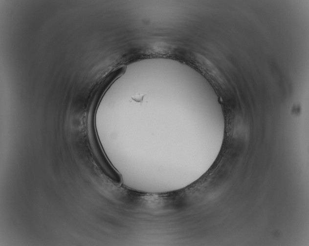 X0000090410425200708031047