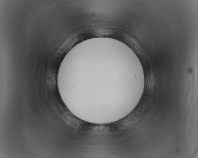 X0000090410426200708031047